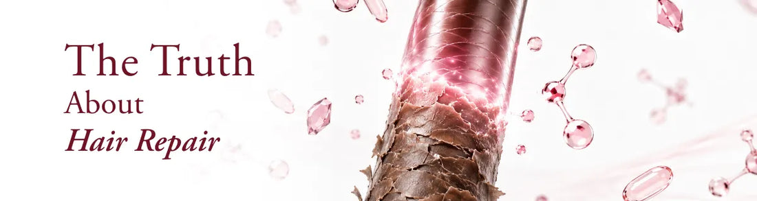 The cortex: why most products never actually repair your hair.