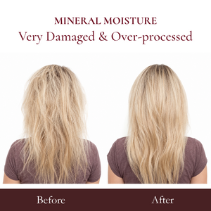 Mineral Moisture Repair Shampoo